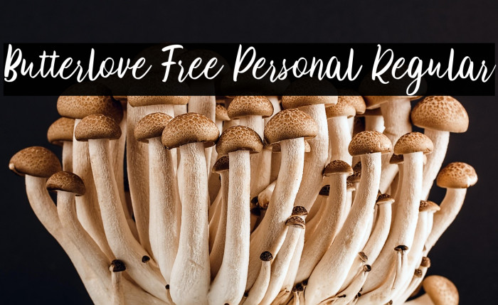 Butterlove Free Personal Regular Example 3