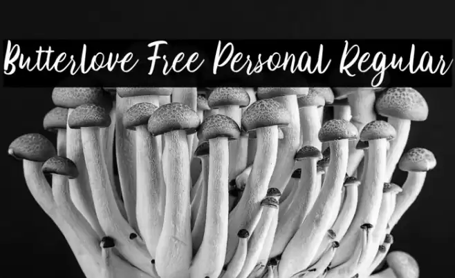 Butterlove Free Personal Regular Font examples
