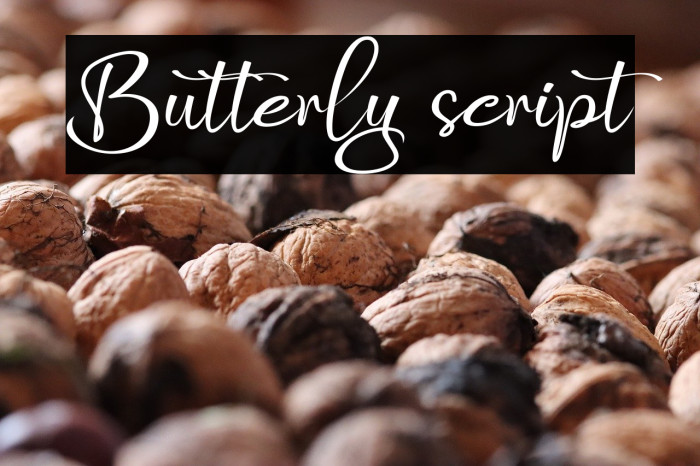 Butterly script Example 1