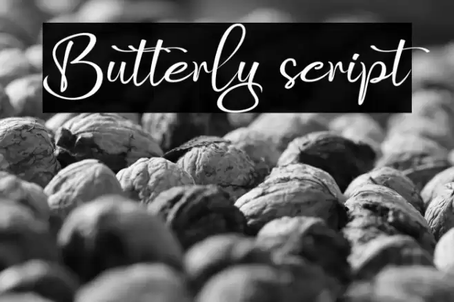 Butterly script Font examples