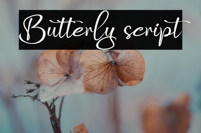 Butterly script Example 2