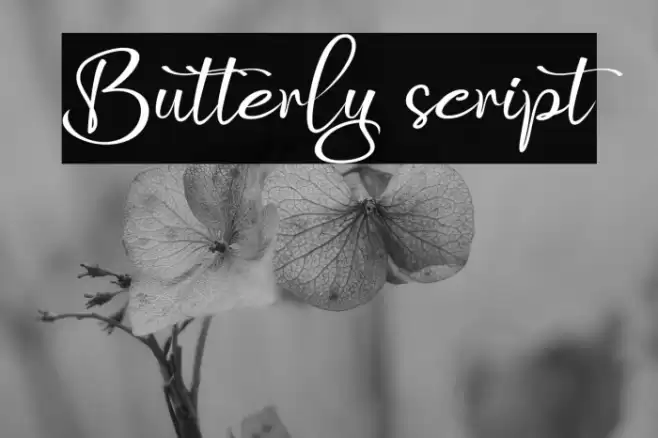 Butterly script Font examples