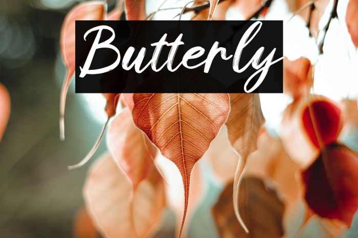 Butterly Example 2