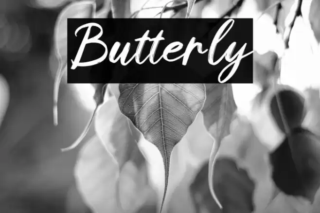 Butterly Font examples