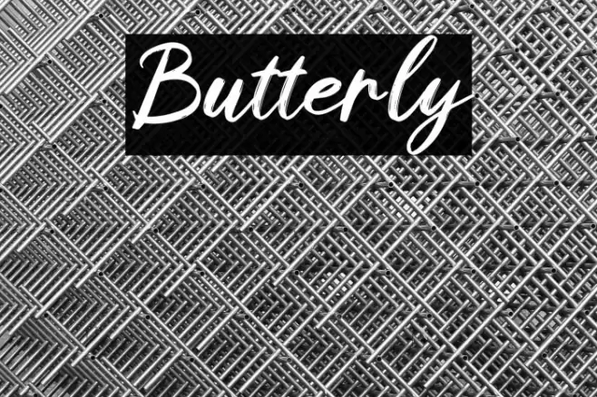 Butterly Font examples