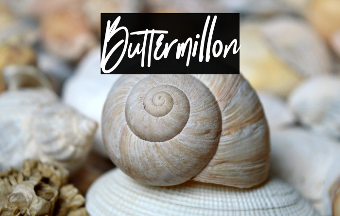 Buttermillon Example 1