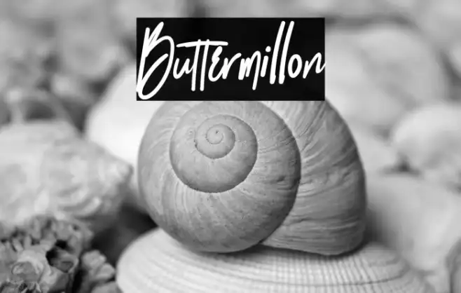 Buttermillon Example 1