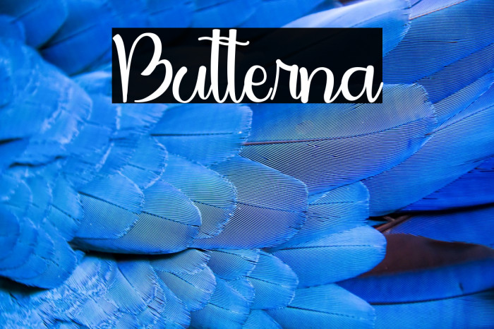 Butterna Example 3