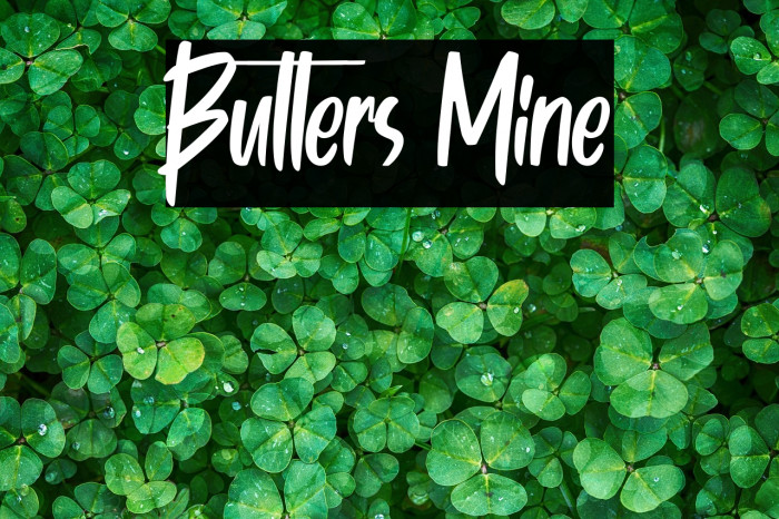 Butters Mine Example 2