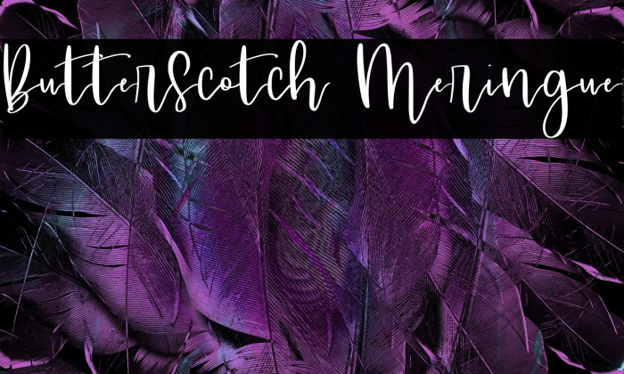 Butterscotch Meringue Font examples