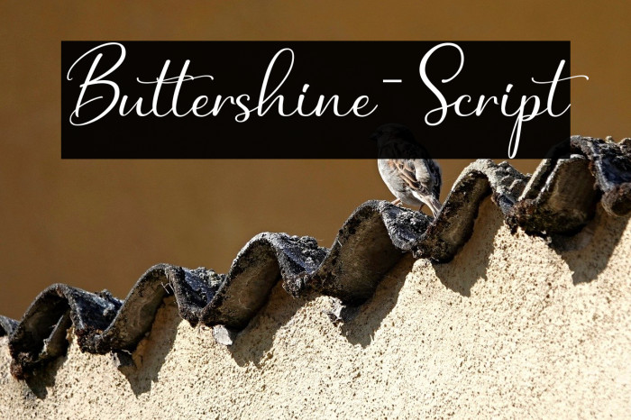 Buttershine-Script Example 2