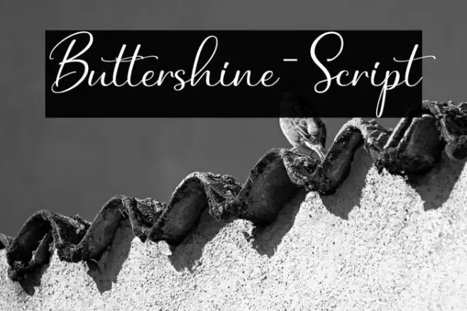 Buttershine-Script Example 2