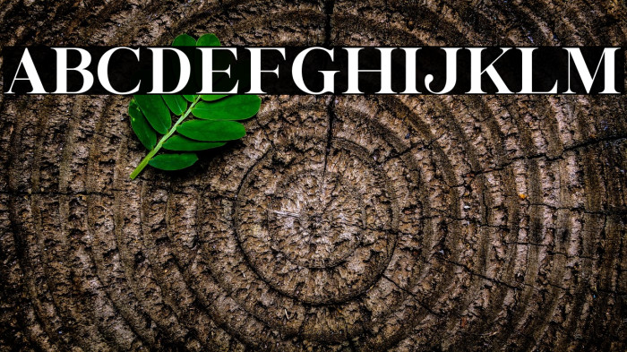 ButtershineSerif Example 2