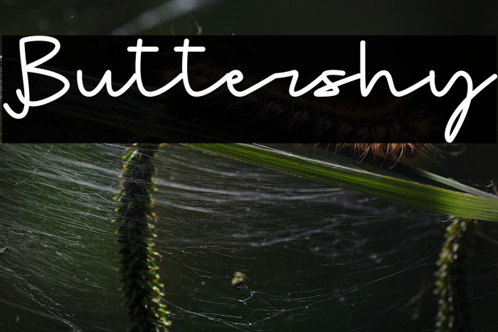 Buttershy Example 1