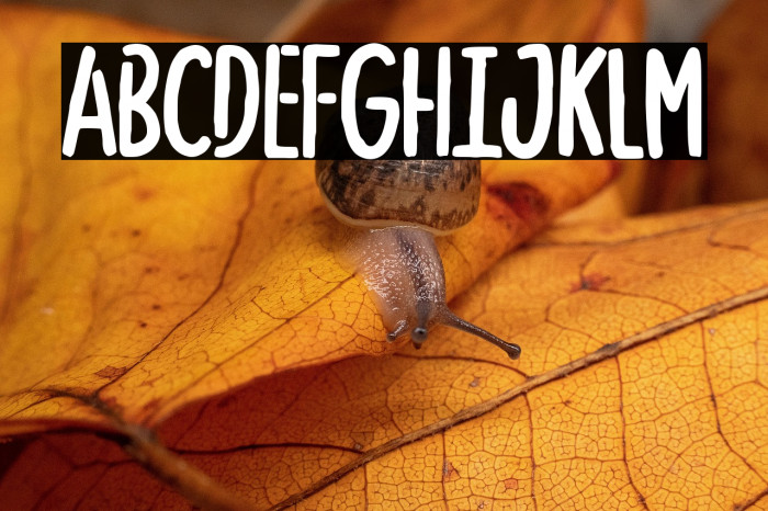 Butterskull Regular Example 3