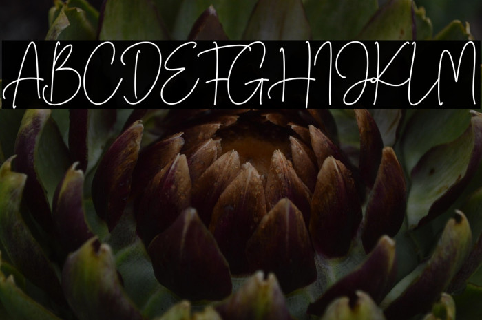 Buttervill Example 3