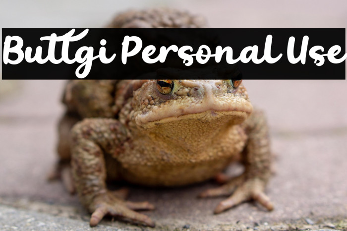 Buttgi Personal Use Example 1