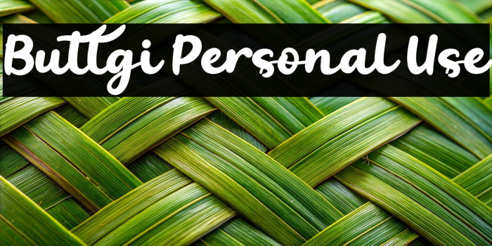 Buttgi Personal Use Example 3