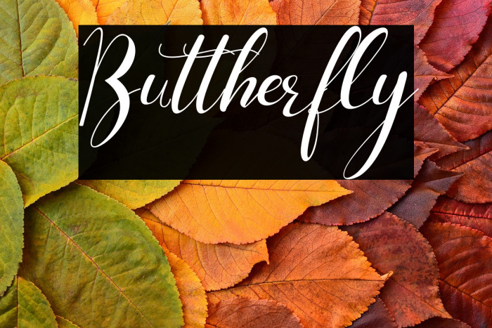 Buttherfly Example 1