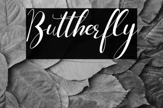 Buttherfly Example 1