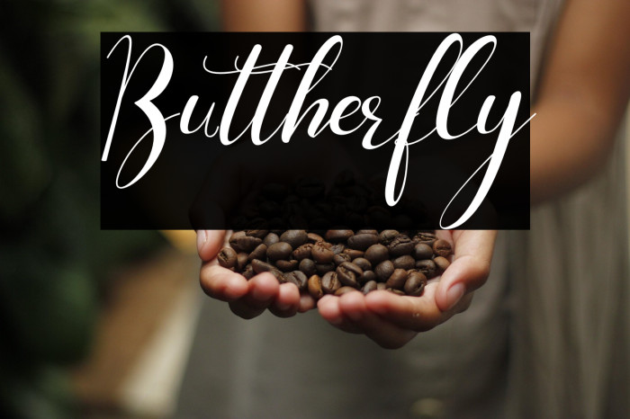 Buttherfly Example 2