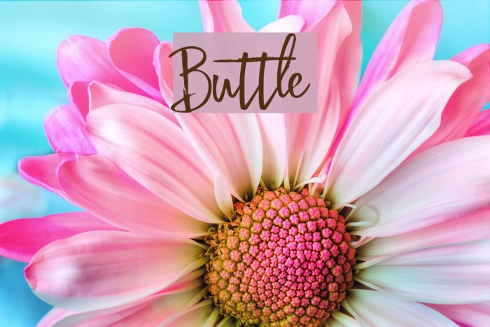 Buttle Font examples