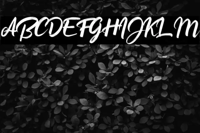 Button Shield Personal Use Only Font examples