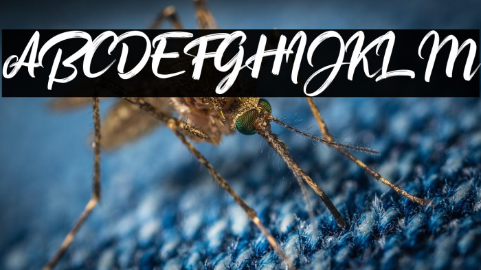 Button Shield Personal Use Only Example 3