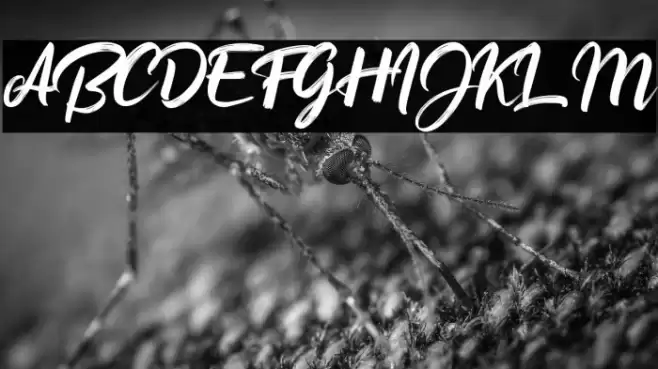 Button Shield Personal Use Only Font examples