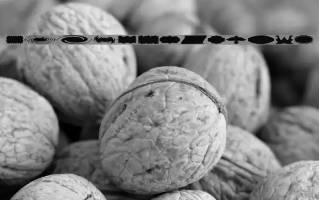 ButtonButton Font examples