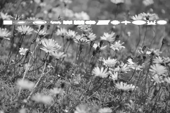 ButtonButton Font examples