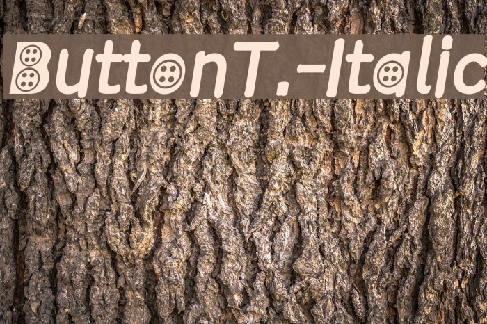 ButtonT.-Italic Font examples