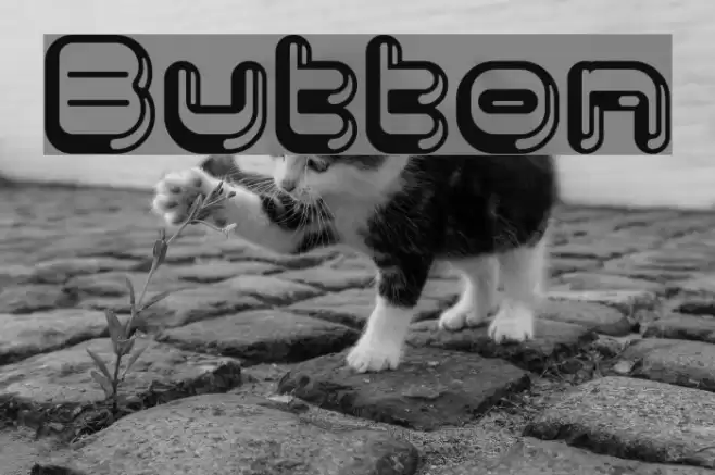 Button Font examples