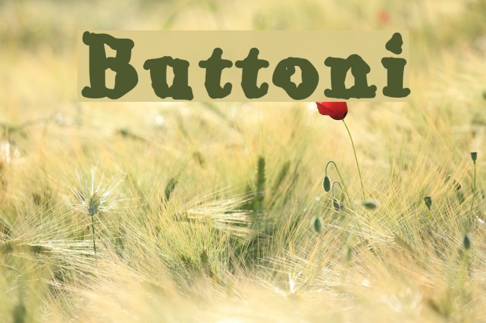 Buttoni Font examples