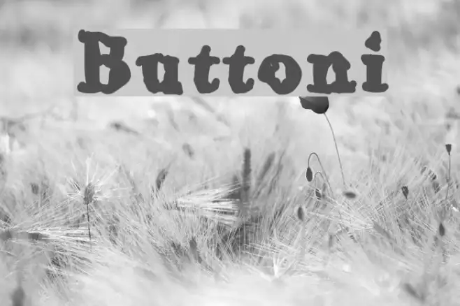 Buttoni Example 2