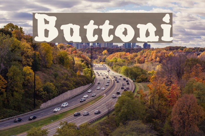 Buttoni Font examples