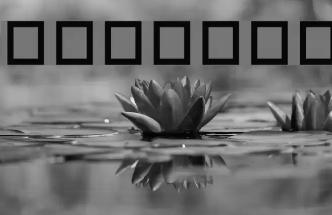 Buttons Font examples