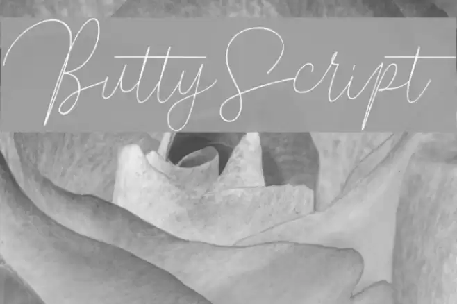 ButtyScript Font examples