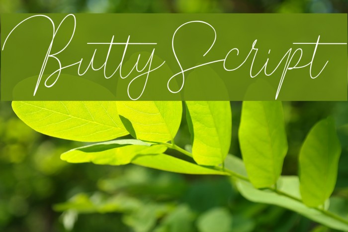 ButtyScript Font examples