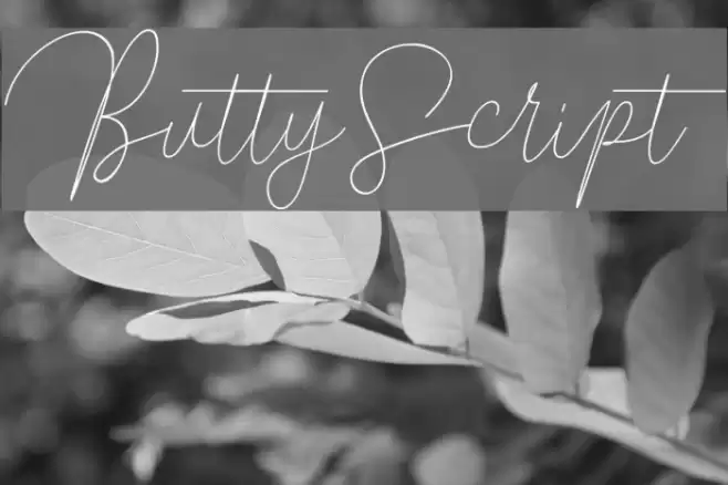 ButtyScript Font examples