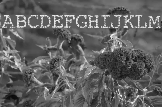 Buttzilla Font examples