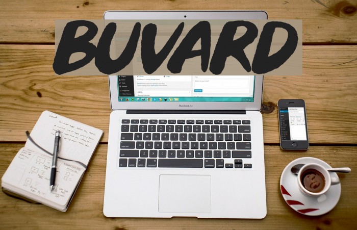 Buvard Fonte examples