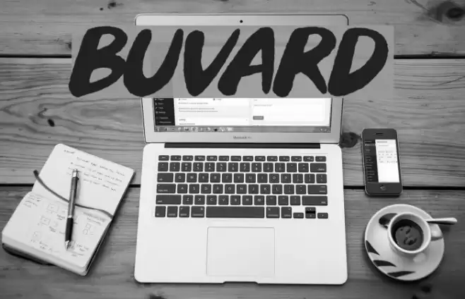 Buvard Font examples