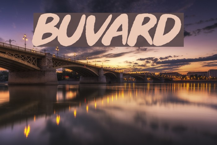 Buvard Fonte examples