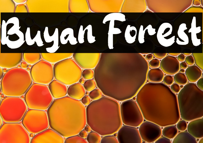 Buyan Forest Example 1