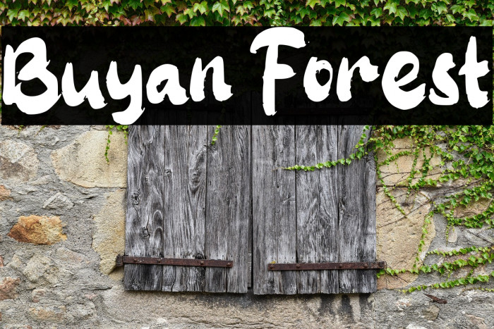 Buyan Forest Example 2