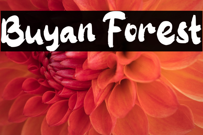 Buyan Forest Example 3