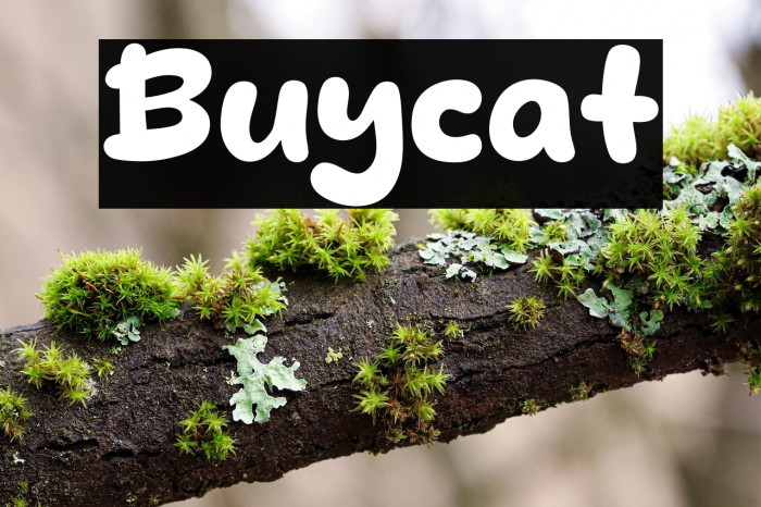 Buycat Example 3