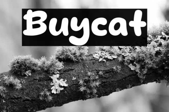 Buycat Font examples