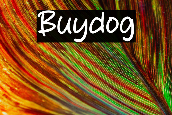 Buydog Example 1
